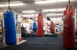Freddie Roach Mencari...