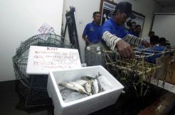 Bantah Omongan Ahok, Nelayan Bawa Ikan ke Balai Kota DKI