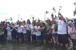 Mahasiswa Untar dan MNC Group Tanam Ribuan Mangrove di Pantai Marunda