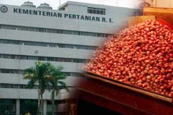 Menko Darmin Disebut Ragukan Data Kementan Soal Bawang