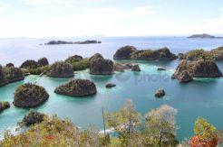 Pulau Pianemo, Keindahan Surga yang Jatuh ke Bumi di Raja Ampat