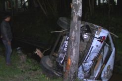 Truk Pengangkut Kayu Tabrak Pohon lalu Tercebur ke Sungai