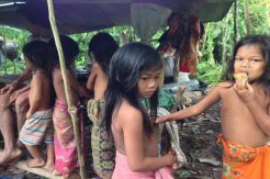 Warga Suku Anak Dalam Jambi Tagih Janji Presiden Jokowi