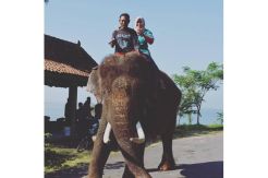 Kronologi Tewasnya Dokter Cantik Akibat Diinjak Gajah