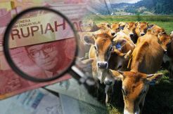 Perusahaan Asal Australia Incar Investasi di RI