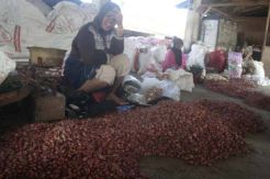 Asosiasi Bawang Merah...