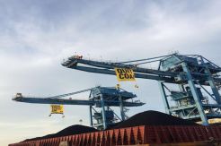 Panjat Crane Tolak Batu Bara, 12 Aktivis Lingkungan Diamankan