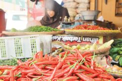 Dampak Sinabung, Harga Sayur dan Cabai Melambung