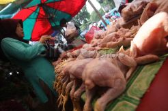 Tahu Berformalin dan Ayam Tiren Ditemukan di Pasar Kramatjati