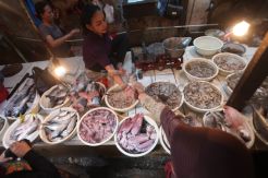 Giliran Harga Ikan Melambung Tinggi