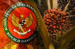 Soal Dugaan Kartel Sawit, KPPU Beri Rekomendasi ke Pemerintah
