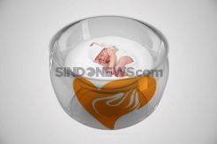 Ditemukan Mayat Bayi di Taman Samping Puskesmas Sawah Besar