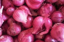 12 Ton Bawang Ilegal dari Luar Negeri Diamankan, akan Dijual ke Sumatera