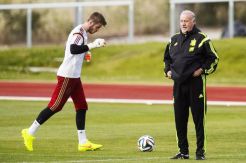 Majority Want De Gea Dropped, Del Bosque Still Not Immovable
