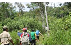 Bukit Lesa Pintu Masuk Bangsa Eropa ke Tanah Batak