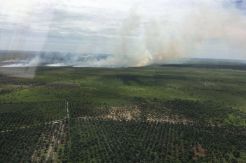 20 Ha Lahan PT Sawita Terbakar, 2 Heli dan Pesawat Dikerahkan