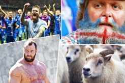 Seven Fact of Fairytale Iceland
