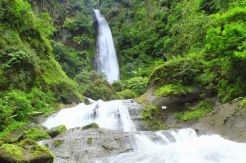 10 Destinasi Wisata Favorit yang Bisa Dijelajahi di Pekalongan
