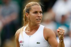 Ke Perempat Final, Cibulkova...