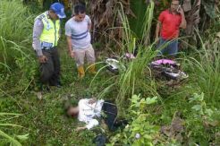 Pemudik Lebaran Manjadi Korban Tabrak Lari, Mayatnya Tergeletak di Jalan