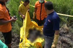 Hilang Sebelum Lebaran, Gadis Lulusan Aliyah Tewas Membusuk di Sawah
