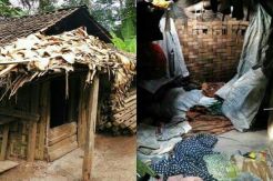 Keluarga di Lebak Ini Tinggal di Kandang Kambing, Bupati Kemana?