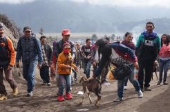 Ritual Suku Tengger di Gunung Bromo, Ini Foto-Fotonya