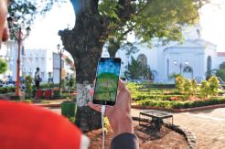 Merayakan Viral Pokemon...