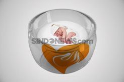 Pelajar SLB Buang Bayi Hasil Hubungan Gelap