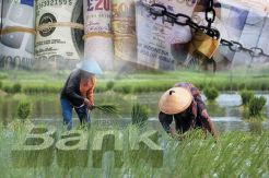 BNI Siap Genjot Kredit Pertanian di Wonosobo