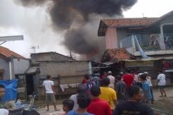 Si Jago Merah Mengamuk di Kampung Lio Depok