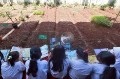 Ahok: Kita Menunggu Kajian Full Day School