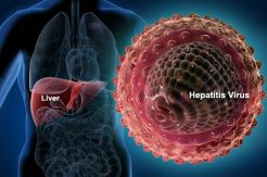 Kunci Penanggulangan Hepatitis, Putus Mata Rantainya!