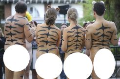 Demi Harimau, Ratusan...