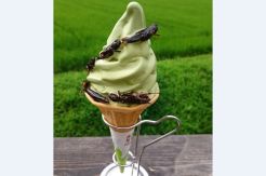 Sensasi Es Krim Berbahan Belalang