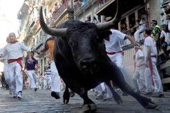 Bocah Tujuh Tahun Kritis Diseruduk Banteng di Spanyol