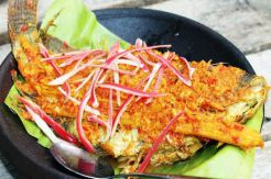 Ikan Mas Na Niarsik,...