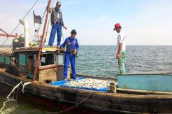 Curi Ikan di Perairan Indonesia, 9 Warga Singapura Ditangkap