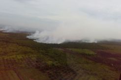 35 Titik Panas Kepung Riau, Terbanyak di Tempat Praka Wahyudi Meninggal
