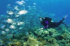 Diver Gathering 10th Years Anniversary di Tulamben