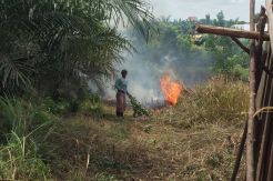 Anak dan Bapak Ditangkap Polisi karena Bakar Lahan