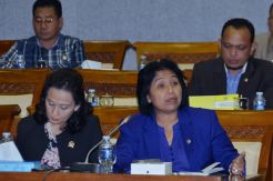 Pemerintah Diminta Siapkan Program Preventif Penyebaran Virus Zika