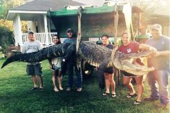 Two Hour Battle, Blonde Girl Breaking Record for Giant Alligator