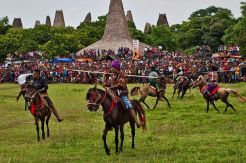 Jelajah Tanahumba di Festival Advanture Indonesia 2016