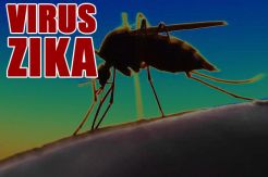 Cegah Virus Zika, Kuala Lumpur Bakal Lakukan Fogging