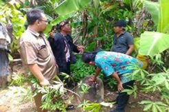 Dua Buah Batu Cikabuyutan di Pangandaran Hilang