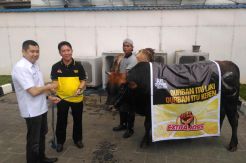 PT Bintang Toedjoe Sumbang Dua Sapi Limosin ke MNC Group