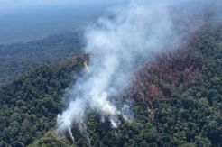 Hutan Lindung Bukit Suligi Riau Dibakar Perambah