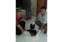 Tulang Belulang Janda Beranak Satu Kembali Ditemukan