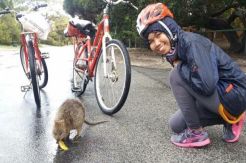 PNS Ini Nekat Bolos 4 Bulan untuk Jalan-Jalan ke Australia